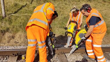 ella james voluntary work