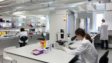 An interview view of a laboratory at the University