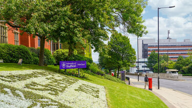 Firth court flower bed