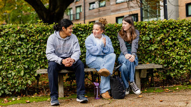Students sitting in front of a tree on a bench
