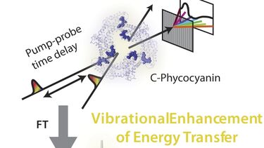 vibrational coupling within an antenna
