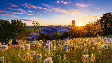 The Sheffield Urbanism Showcase, 2025