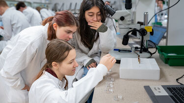 Students working in the lab