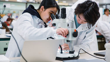 Students working on microscopes in the lab