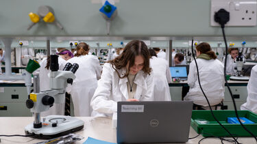 Biological Sciences student working in the lab