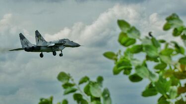 war plane in sky with leaves in foreground
