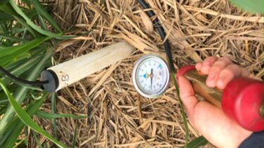 Sampling soil pore water from a suction cup lysimeter at the Howe field trial in 2020 (Photo: Kalu Davies).
