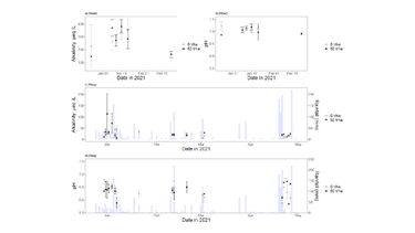 Pore water analyses from lysimeters in the Howe field trial showing a) alkalinity and b) pH, and pore water analyses and daily rainfall at the Hesp field trial showing c) alkalinity and d) pH at two rates of basalt application (0 and 50 t/ha per year over three previous years). Points are mean values and error bars are standard deviations.