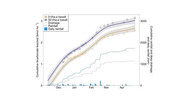 Cumulative mean deep drainage flux of bicarbonate (HCO3-) in the two treatments (squares) and fitted generalised additive models, showing 95% confidence interval (grey shading), over the 2022-2023 wet season, with cumulative rainfall and drainage and daily rainfall also shown.