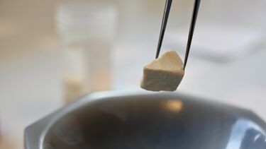 A chunk of metakaolin being held by tweezers 