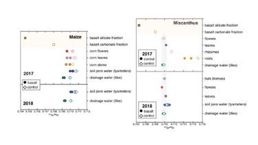 A graph showing strontium isotope 87Sr/87Sr ratios from maize and miscanthus plots. Gray bar demonstrates narrow range of values for miscanthus reservoirs.