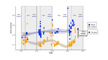Si/Ca ratios in soil waters draining maize (2017, 2018, 2020) and soy crops (2019). Higher Si/Ca ratios indicate relatively higher rates of silicate weathering. In 2020, there was a further increase in this ratio in the basalt treated plot. Lines are the smoothed conditional means of the data, with the 95% confidence interval in grey. Dashed lines indicate timing of nitrogen fertilizer application.