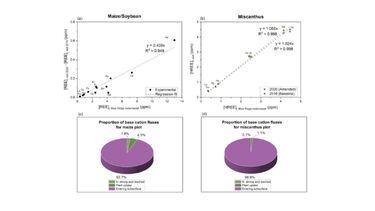Graphs showing cumulative rock addition was determined through direct measurement of (a) the change in soil REE concentrations between 2016 and 2020 on maize/soybean plots, and (b) the change in heavy REE concentrations between 2018 and 2020 on miscanthus plots. 