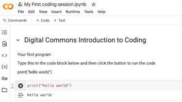 Digital Commons Introduction to Coding - image of python code
