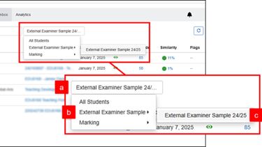 In the All Students Dropdown, the External Examiner Sample option is expanded