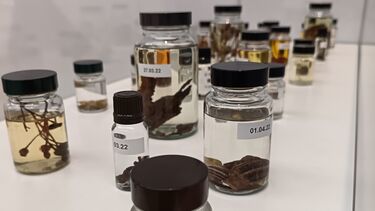 A section of RA Walden’s Crip Ecologies. There are about 20 differently-sized glass specimen jars pictured here. The image description on the artist’s website reads: ‘Various natural materials (flowers, soil/dirt, leaves, stones, seeds, fruit, herbs), and liquids of varying colors; red, yellow, brown, fill the containers. Some of the labels have names of people or streets on them, all are accompanied by dates’. 