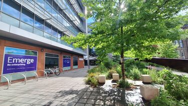 picture of building from outside with green space and tree 