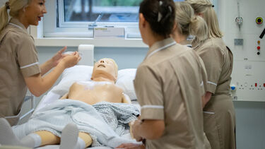 Apprentices working on manakin