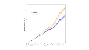Cumulative CO2 drawdown via alkalinity generation in enhanced rock weathering field trials in Sabah, Malaysian Borneo, illustrated for plot 3 with a significantly higher drawdown in the treated catchment relative to the control