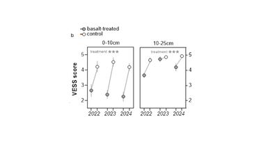 Visual Evaluation of Soil Structure (VESS) scores showed consistent significantly improved soil structures on basalt-treated sites at the 0-10 cm depth and the 10-25 cm depth.