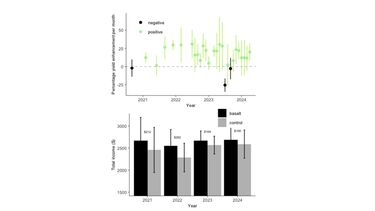 Upper panel shows yield enhancement per month of palm oil on basalt-treated sites in Sabahmas Plantations Sdn. Bhd., Sabah, Malaysian Borneo.  Lower panel shows estimated annual gain in economic revenue per year following the basalt treatment.