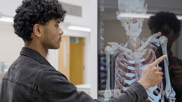 Student using anatomage table