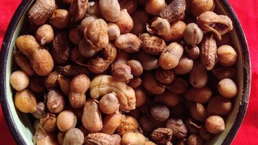 Bambara nuts