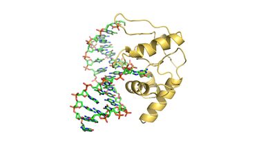 Image of a chemical structure