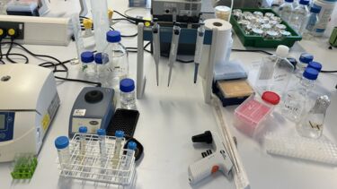 Biomedical Engineer third year project