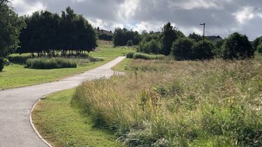 A path leading through an empty urban park