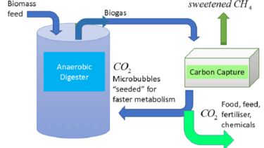 CO2 process flow for an anaerobic digestor.