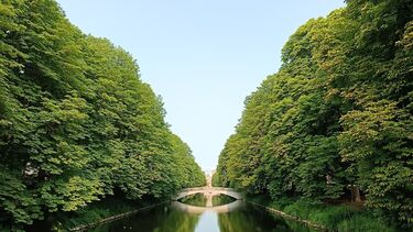 A photograph of a water between trees