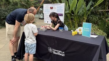Visitors at the Lin stand