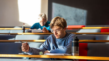 Maths student in problem solving session