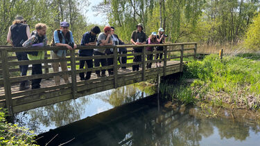 MSc Biodiversity and Conservation on a field course in Norfolk
