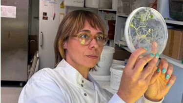 Image of Professor Katie Field experiementing with fungi 