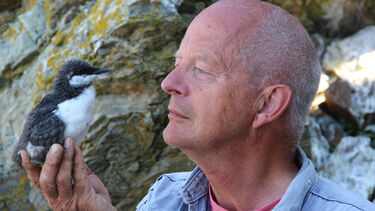 Tim Birkhead holding a guillemot chick in his hand, sitting against a rocky wall