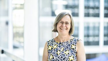 Professor Diana Mitlin 
