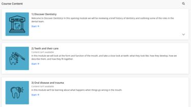 A screenshot of the Discover Dentistry course on Blackboard