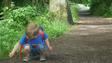 A small boy crouches on the floor with a stick, on a woodland path