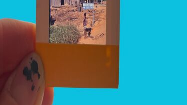 Urban Nature Archives