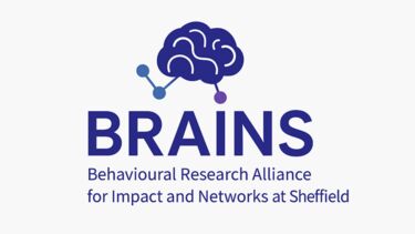 logo for BRAINS research network