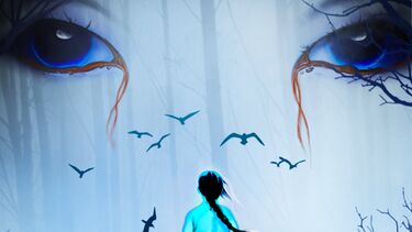 Video game imagery - Wonhon