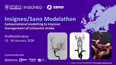 Insigneo event graphic - Insigneo/Sano Modelathon Computational modelling to improve management of ischaemic stroke    Sheffield/Kraków13 - 16 January 2026