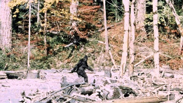 Bigfoot