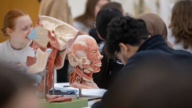 Photo of Biomedical Science student studying anatomy using von Hagan models