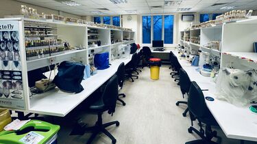 Work stations on the fly lab with dissecting microscopes and CO2 pads.