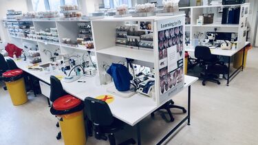 Fly lab room with workspaces containing dissecting microscopes and vials of Drosophila flies on shelving.