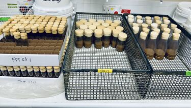 Bottles and vials of fresh fly food in the fly lab.