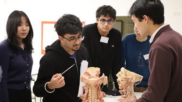 A group of students looking at plastinated anatomy teaching specimens